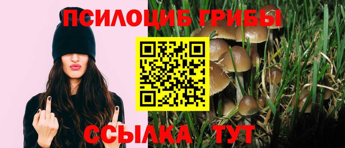 Псилоцибиновые грибы мухоморы Кемерово